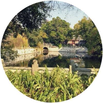 传世渣渣辉官方手游正式版下载