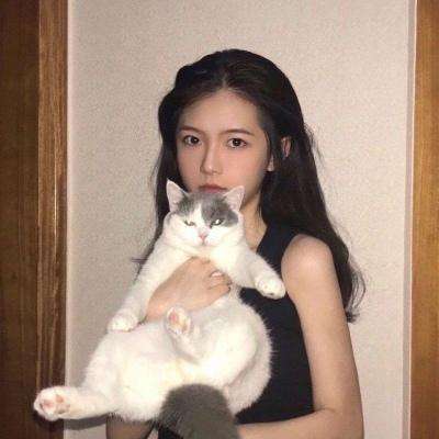 火焰纹章英雄无限钻石金币版下载